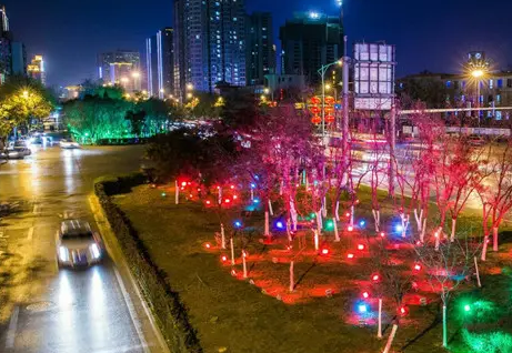 南充市政亮化深夜AV免费观看制作施工安装
